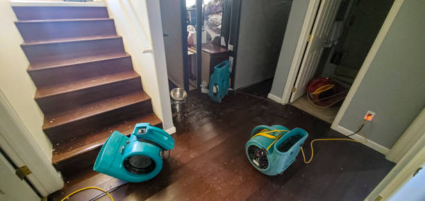 Best Water damage restoration cost  in Haskell, TX