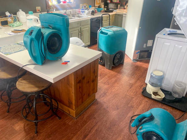 Best Water damage cleanup near me  in Haskell, TX