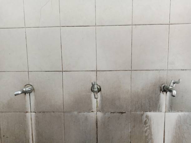 Best Ceiling water damage repair  in Haskell, TX