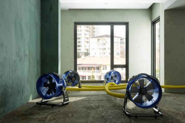 Best Water damage repair service  in Haskell, TX